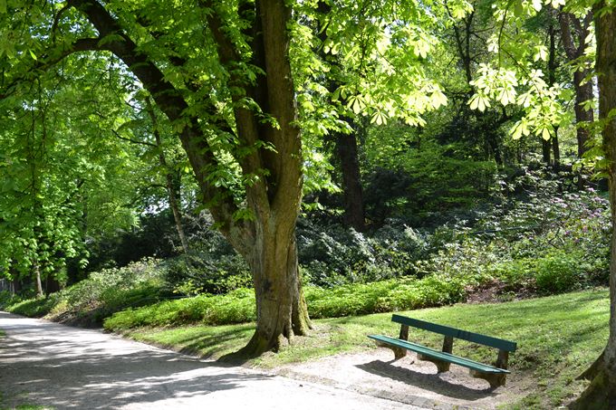 Blick auf Parkbank unter großem Baum im Bauernbergpark