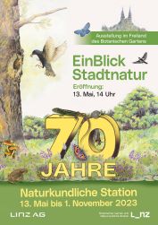 Plakat 70 Jahre Naturkundliche Station gestaltet mit gezeichneten Pflanzen und Tieren.