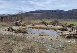 Der neu angelegte Teich - am Rand liegen Wurzelstöcke als Versteckmöglichkeiten.