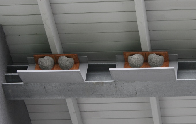 Nisthilfen für Schwalben unter einem Hausdach angebracht.
