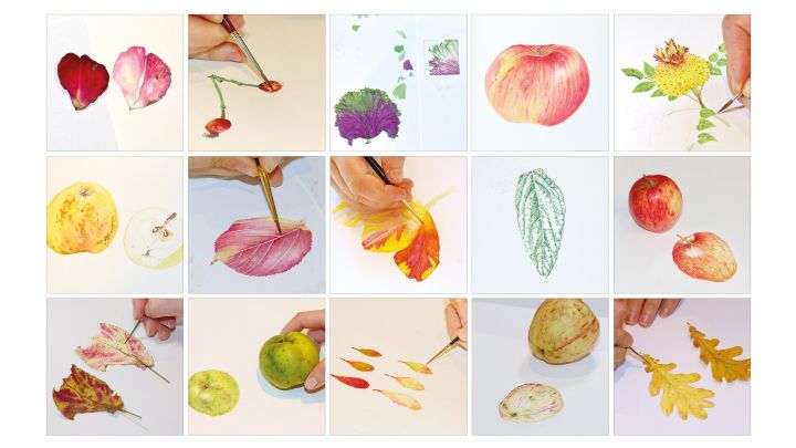 Bilder von Teilnehmer*innen "Schule des Sehens" mehrere Zeichnungen von Früchten und Blüten