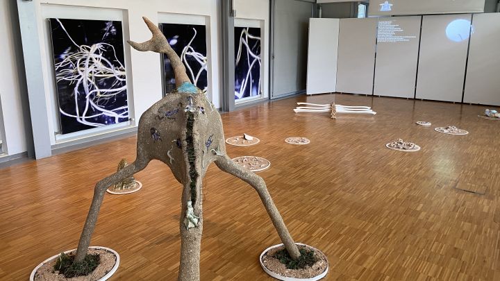 Rauminstallation: Skulptur mit Keramikanteilen, großformatige Makroaufnahmen an der Wand