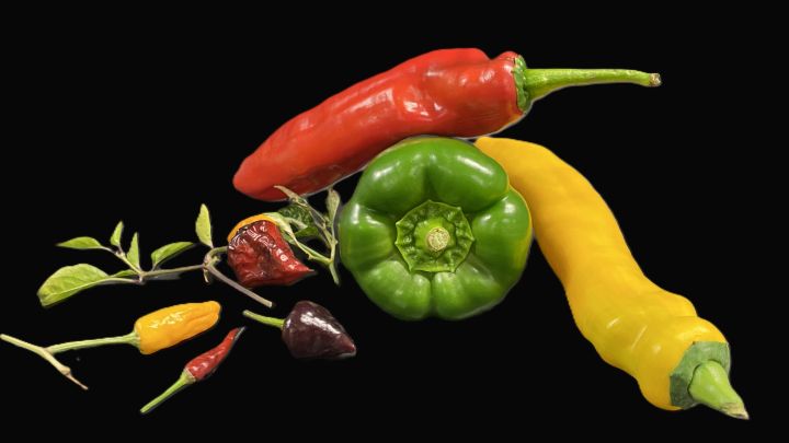 Chilis in verschiedenen Formen, Größen und Farben