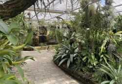 In diesem Gewächshaus werden wechselnde Ausstellungen gezeigt.