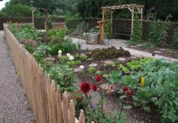 Im Bauerngarten stehen Blumen und Gemüsepflanzen nebeneinander.