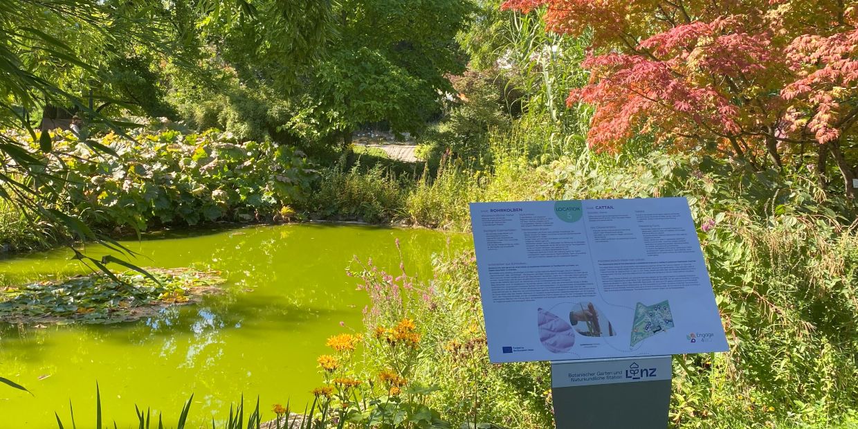 Eine Tafel vom neuen Pfad steht beim Teich an der Bühne.