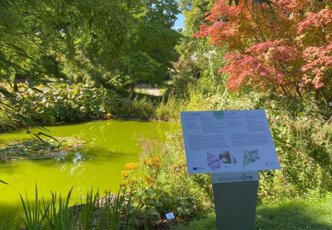 Eine Tafel vom Bioökonomie-Pfad steht beim großen Teich.