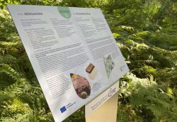 Tafel vom Bioökonomie-Pfad im Botanischen Garten
