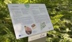 Tafel vom Bioökonomie-Pfad im Botanischen Garten
