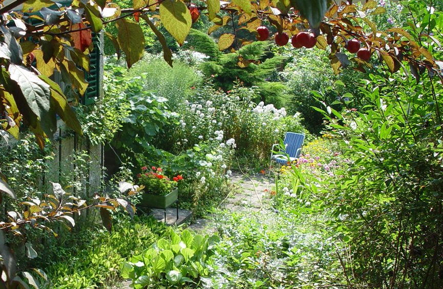 Blick in einen klein strukturierten Garten