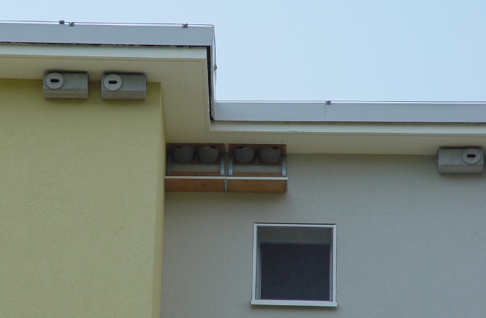 Unter einem Dachvorsprung wurden bei der Sanierung eines Gebäudes Nisthilfen angebracht.