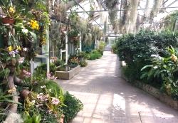 Blick ins Eingangs-Schauhaus