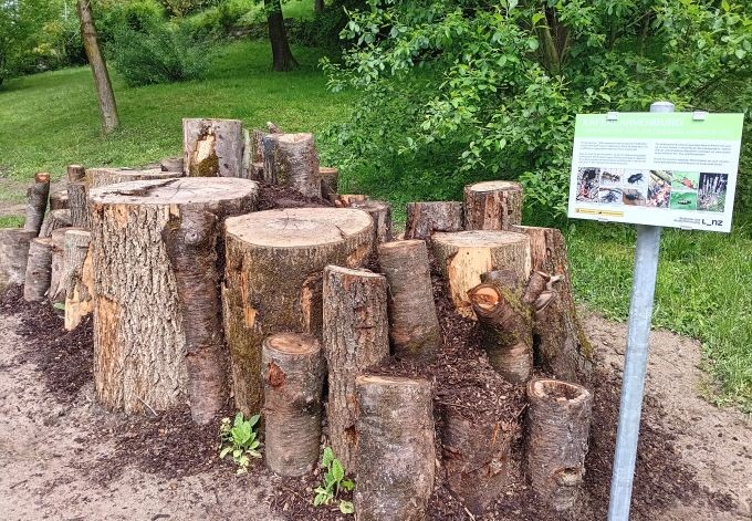 In die Erde wurden senkrecht Holzstämme zum Teil eingegraben.