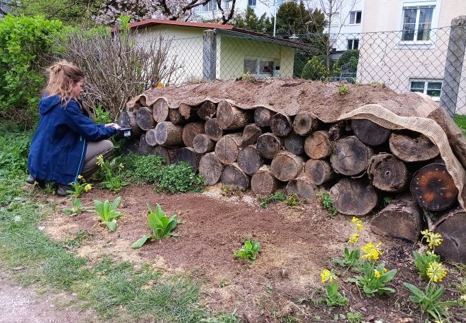 Aufbau eines Kleintierhabitats mit abgedeckten Holzstämmen.