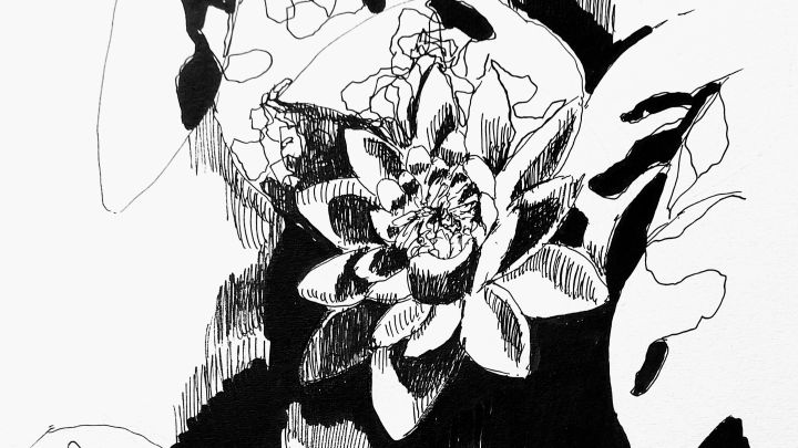 Seerose mit schwarzer Tusche gezeichnet auf weißem Papier