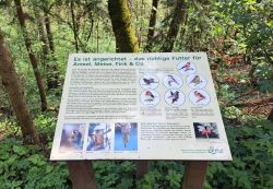 Eine der Tafeln im Wald an der Pferdebahnpromenade.