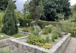 Blick in den Bereich der Nutzpflanzen und des Kräutergartens