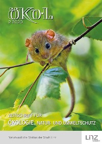 Foto: apodemus Haselmaus