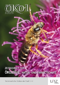 Foto: Josef Limberger (Sechsbinden-Furchenbiene) Sechsbinden-Furchenbiene auf rosa Blüte