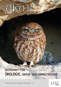 Foto: Gerhard Rotheneder Steinkauz
