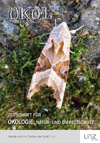 Die Achateule - ein braun gefleckter Nachtfalter