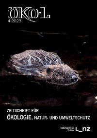 Foto: Bernhard Schön (Europäischer Biber) Biber im Wasser