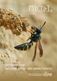 Foto: Roger Jagersberger u. Christine Weiermann Die Schornsteinwespe baut mit Lehm an ihrer Brutkammer.