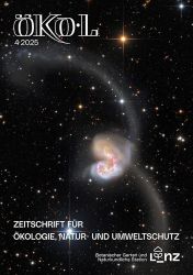 Sternenhimmel mit zwei einander durchdringenden Galaxien