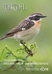 Braunkehlchen