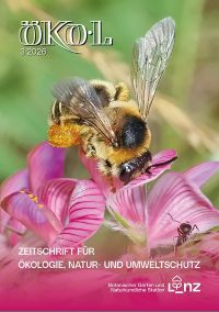 Diese Bienenart ist an die Sand-Esparsette gebunden, eine rosa blühende Pflanze.
