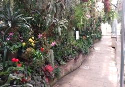 Blick ins Orchideenhaus