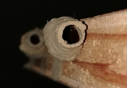 Kleine Lehmtöpfchen mit Öffnung