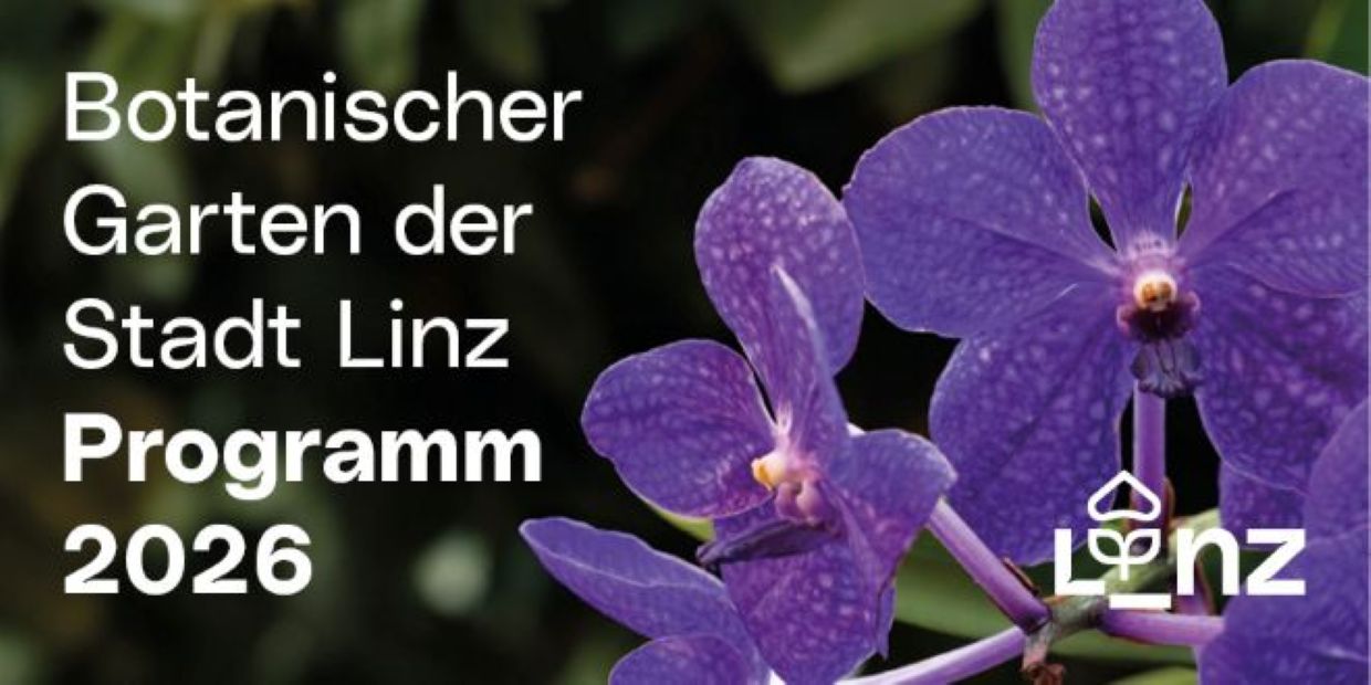 Titelseite Programmfolder 2026 mit lila Orchideenblüte