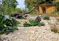 Sandarium im Naturgartenbereich des Botanischen Gartens Linz