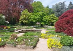Frühlingsblüten beim Senkgarten