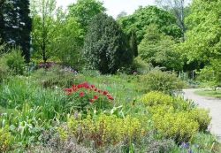 Der Steppengarten im Frühling.