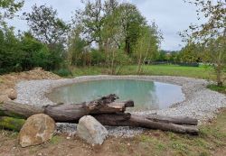 Blick auf den neu gestalteten Teich mit Steinen und Baumstamm am Ufer und mit Bäumen und Hecken teilweise umrandet.