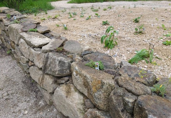 Aufgeschichtete Steine bieten vielen Tieren Unterschlupf.