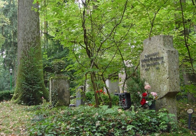 Blick auf ein Grab im Urnenfriedhof umgeben von Bäumen und Efeu