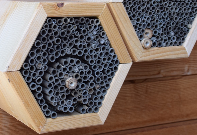 Wildbienennisthilfe gefüllt mit Pappröhrchen