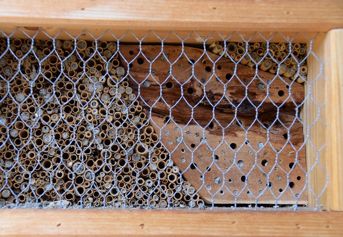 Wildbienennisthilfe gefüllt mit Schilfrohr und gebohrtem Hartholzblock.