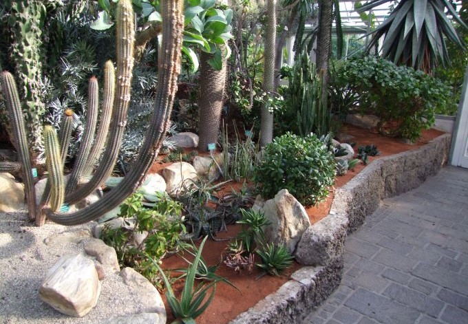 Blick in das Kakteenhaus