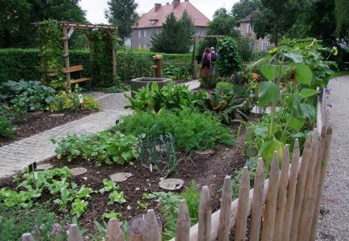 Blick in den Bauerngarten