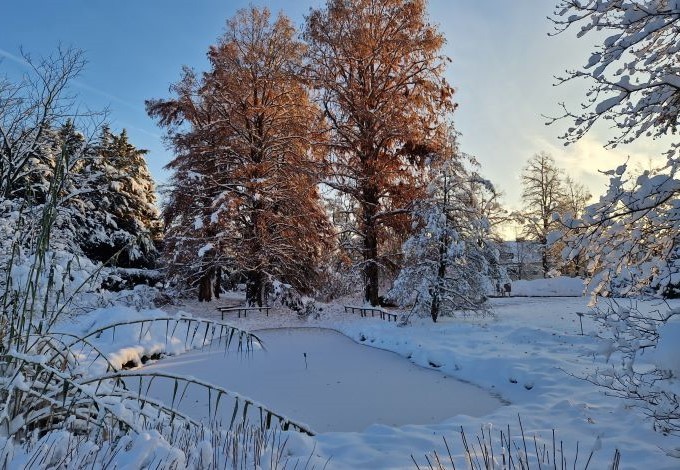 Thomas Schiefecker Schnee im Botanischen Garten