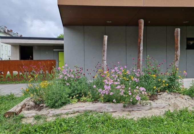 Foto: Daniela Hofinger Bunte Wildblumen in einem Beet vor einem Haus.