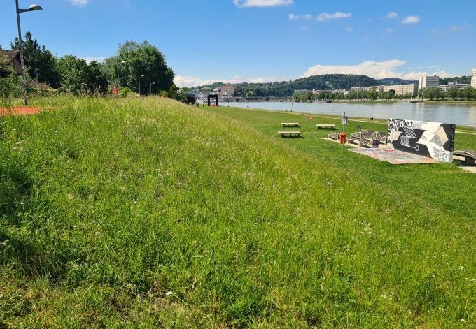 Foto: Tobias Köstl große Wiese an der Donau, die im Hintergrund zu sehen ist