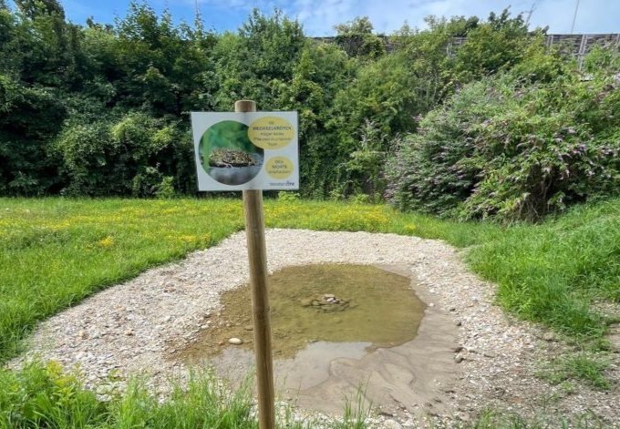 Foto: Michael Lederer Teich mit Infotafel im Vordergrund