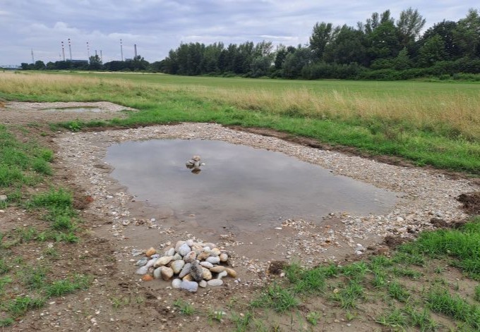 Foto: Gudrun Fuß ein fertiger Teich mit Kiesrand