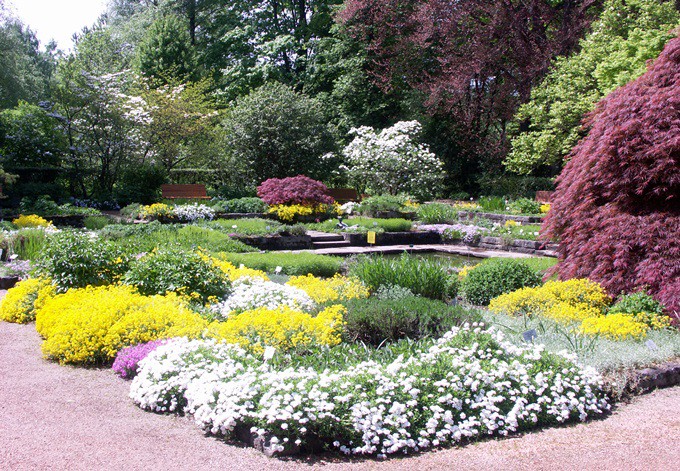 Blütenpracht im Senkgarten