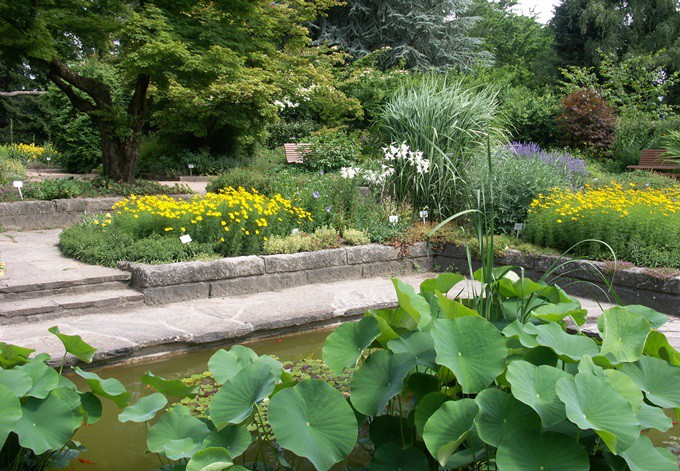 Blick in den Senkgarten im Sommer